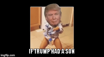 11eei1.gif