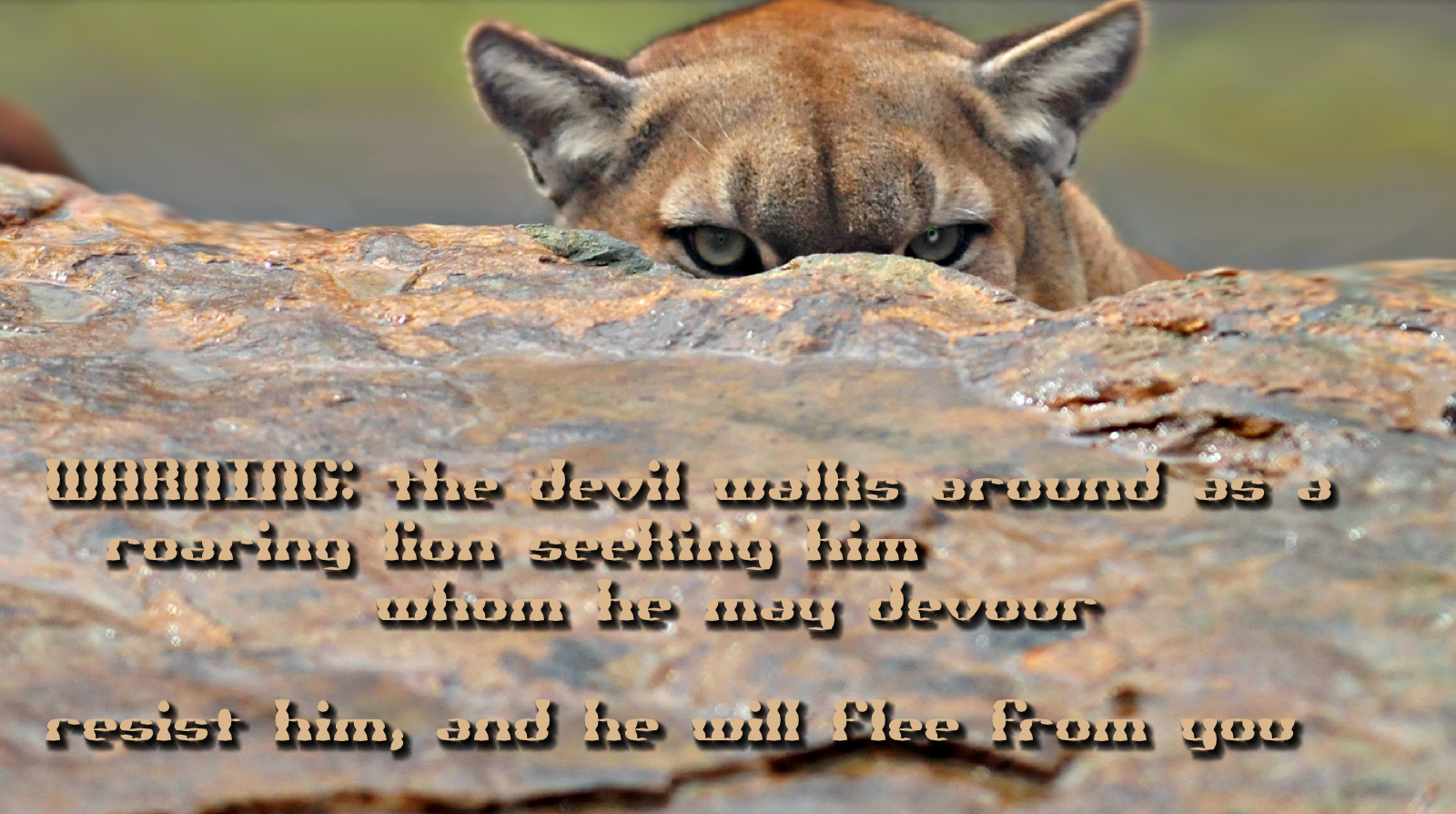 a-stalking-lion.png