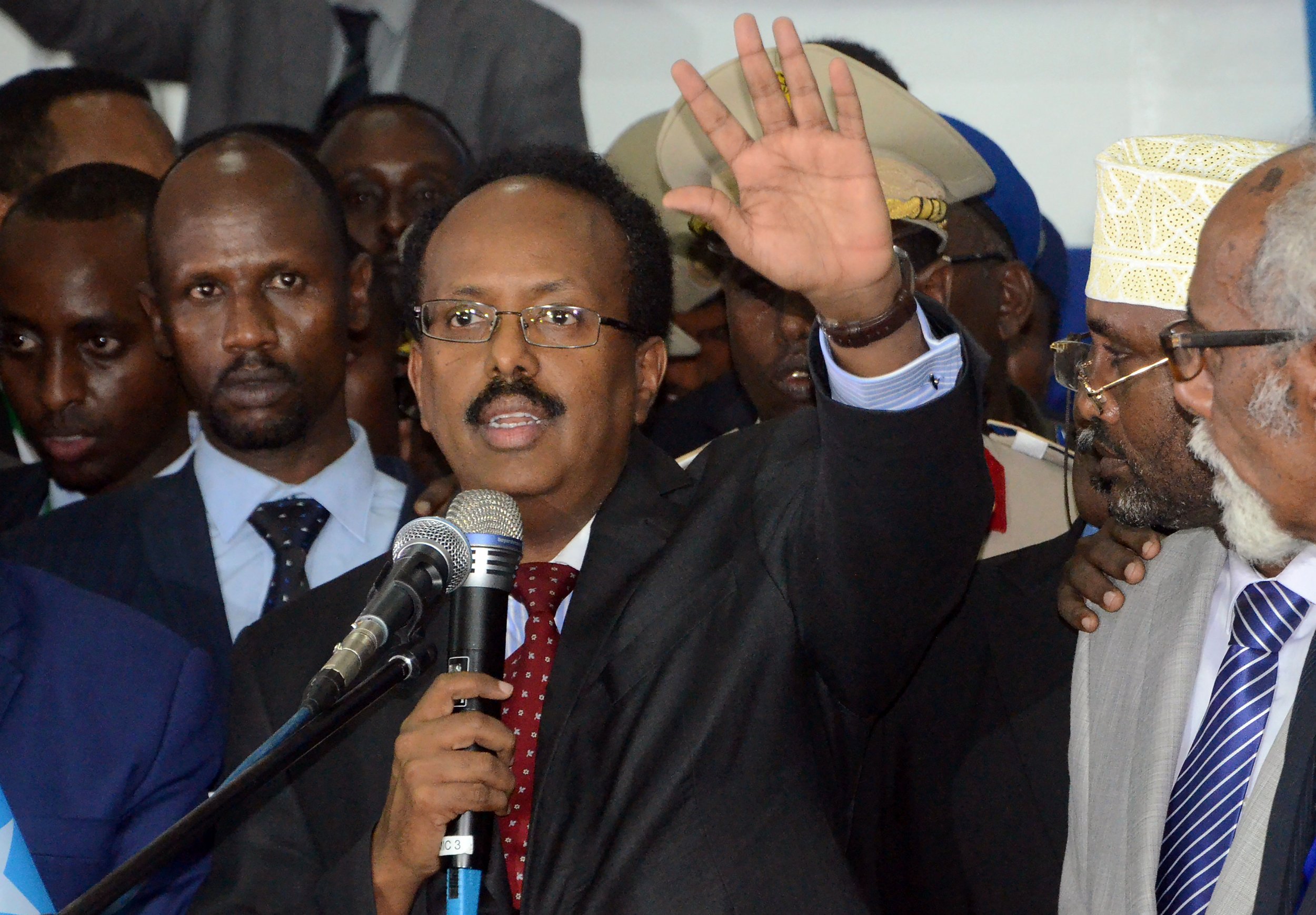 farmajo.jpg