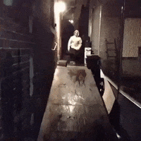 200.gif