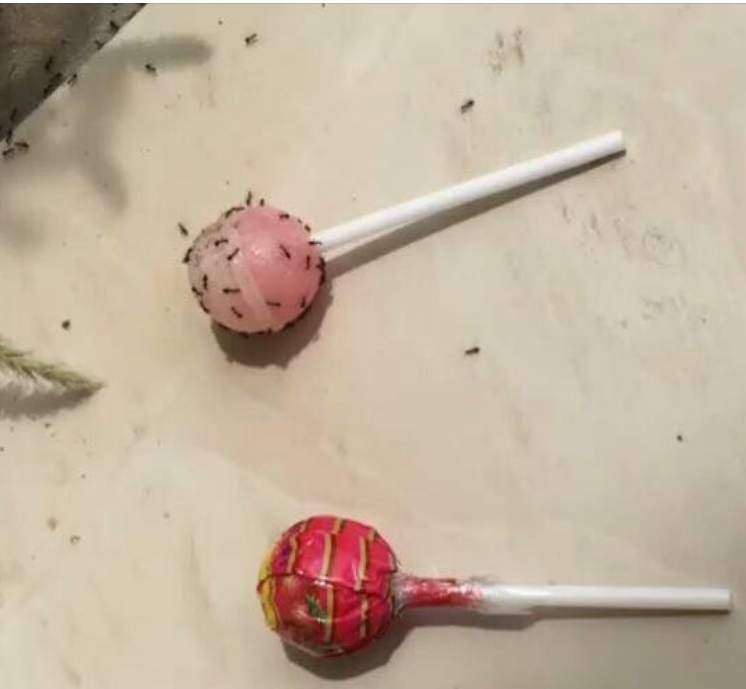 lollipop.png