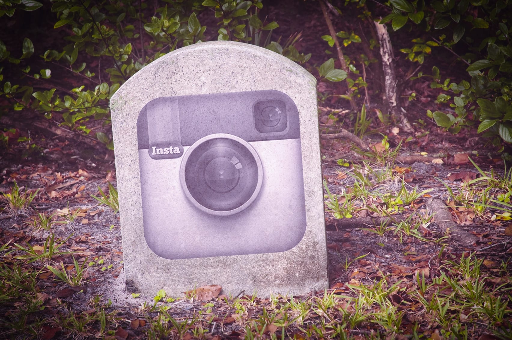 insta_mod.jpg