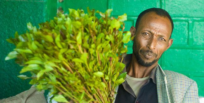 picture-of-khat_somalia.jpg