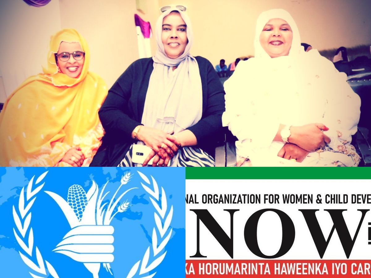 somalilandchronicle.com