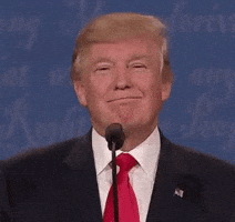 smug donald trump GIF by Election 2016