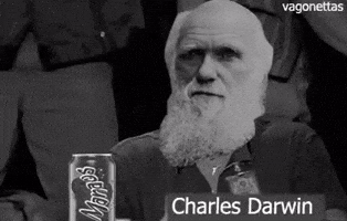 Evolution Thumbs Up GIF by MOODMAN