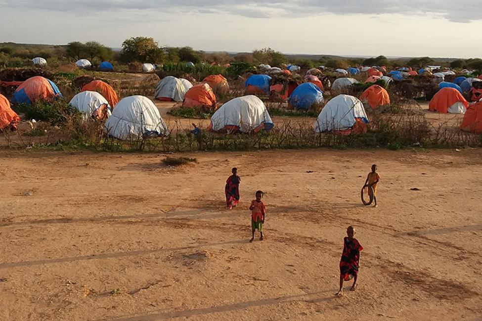 www.ethiopia-insight.com