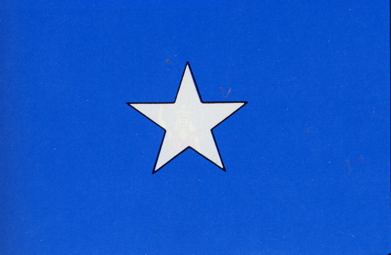 Bonnie%20Blue%20Flag.jpg