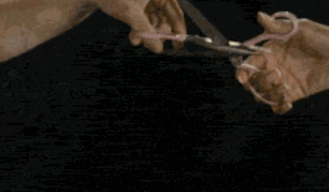 giphy.gif
