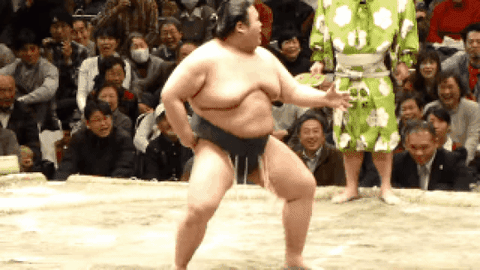 giphy.gif