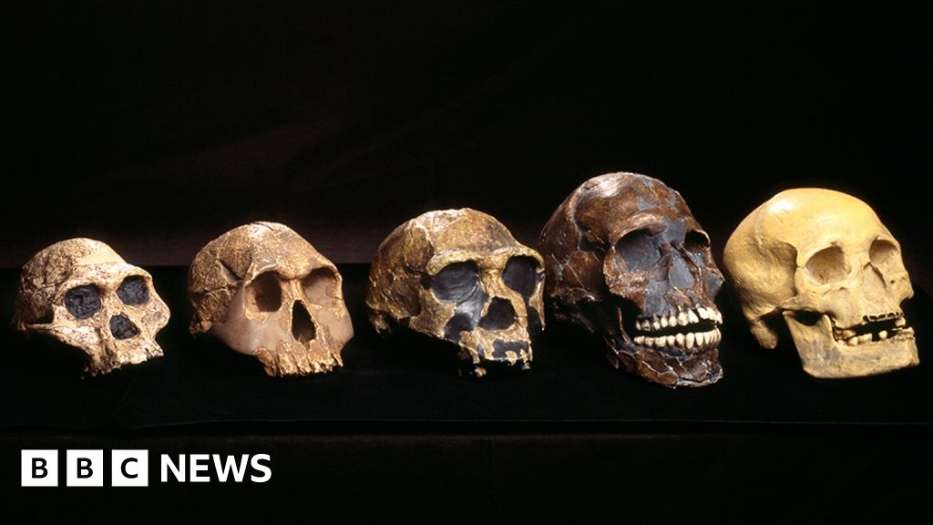 www.bbc.com