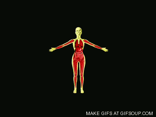 source.gif