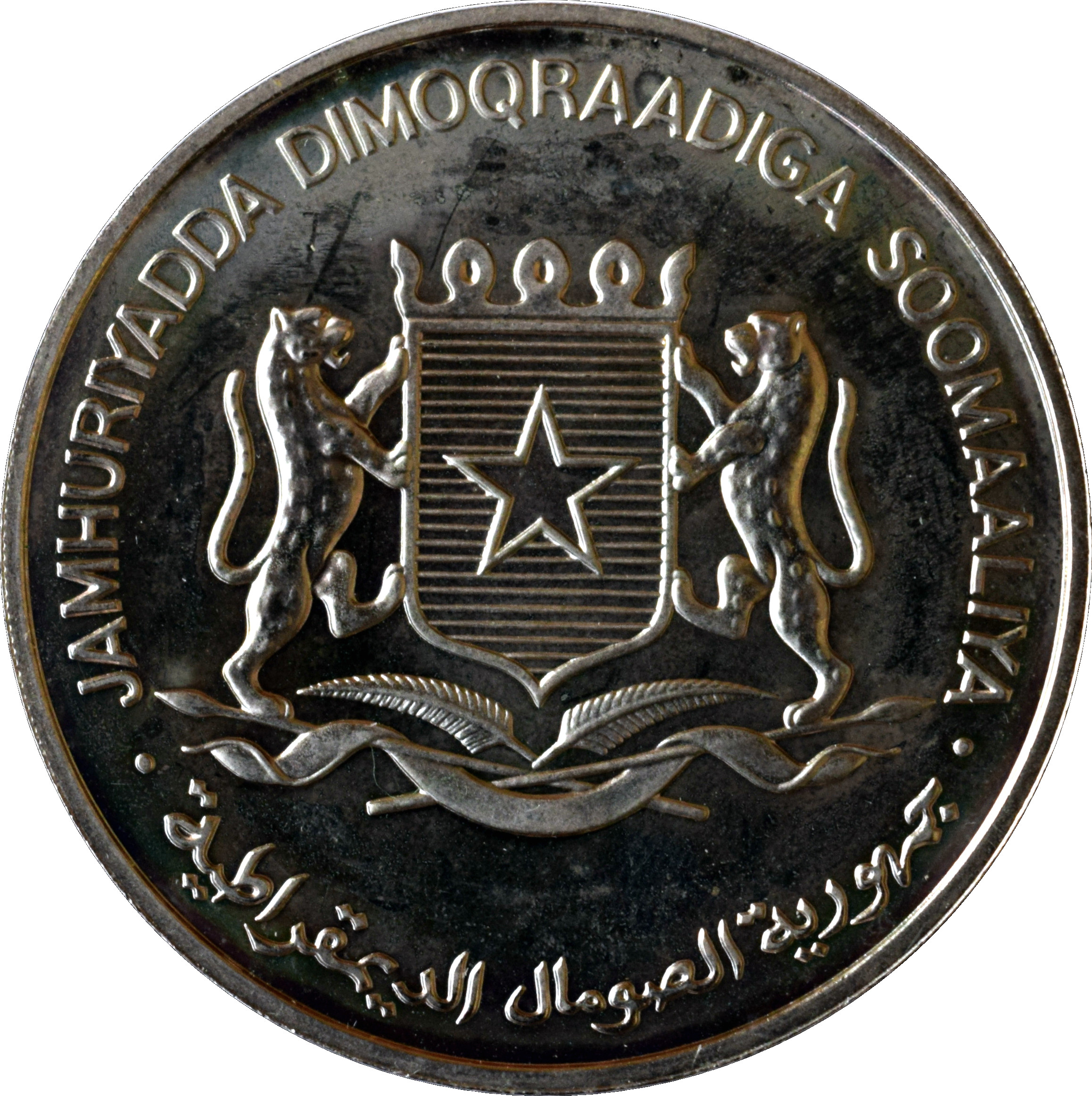g495.jpg