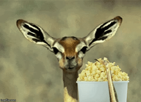 odttb.gif