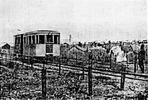 n29.jpg
