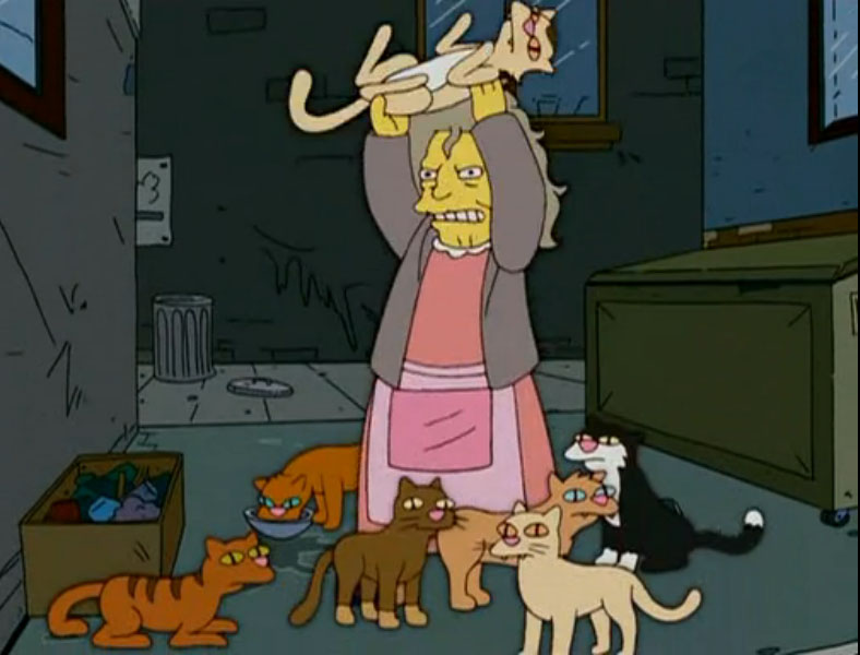 cat_lady.jpg