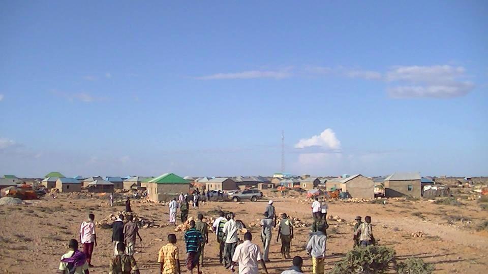 www.daljir.com