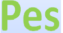 www.puntlandes.com