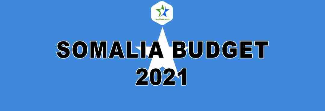 somalipublicagenda.org