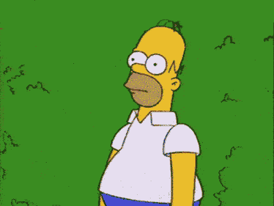 q4xqxaX.gif