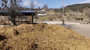200.gif