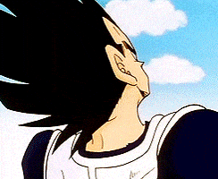 vegeta GIF by Brooke