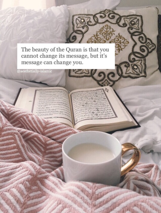tumblr_onlnq8cCf61v19mwlo1_540.jpg