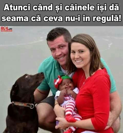 c776596fb0759acabad2424784334cb0.jpg