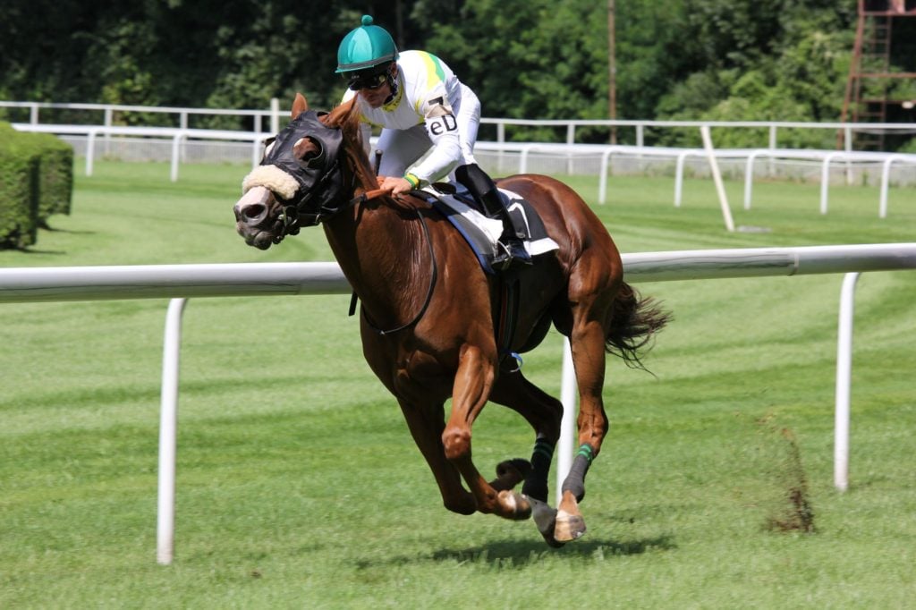 horseracingsense.com