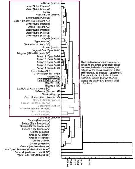 dendrogram2.jpg