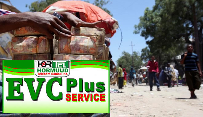 2017113636453170088926079Somali_Shilling_EVC_660.jpg