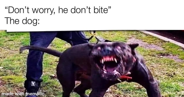 He don't bite : r/memes