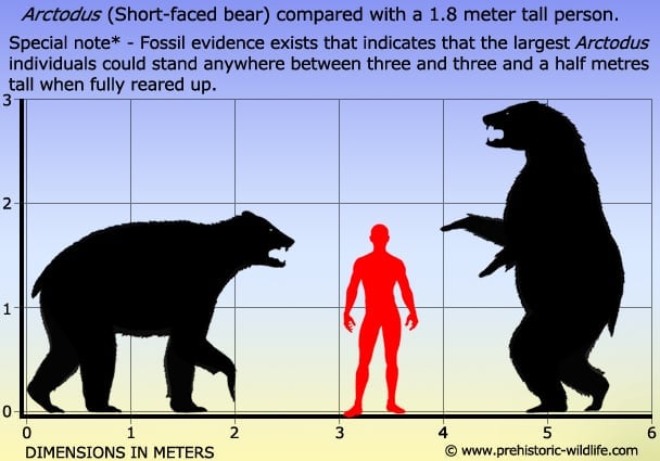arctodus-size.jpg