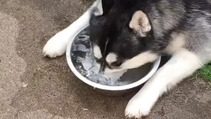 d77905e0b19e7e61d2236e8ada165d78.gif