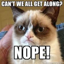 Grumpy-Cat.jpg