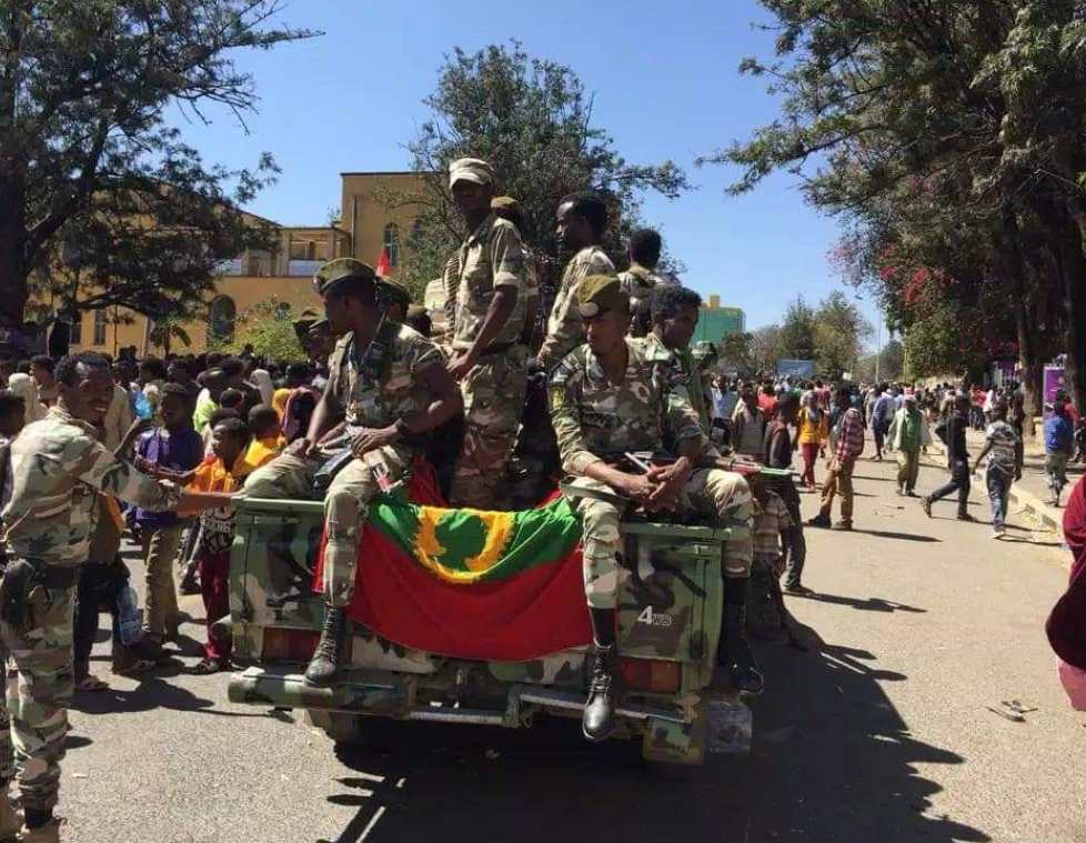 www.ethiopia-insight.com