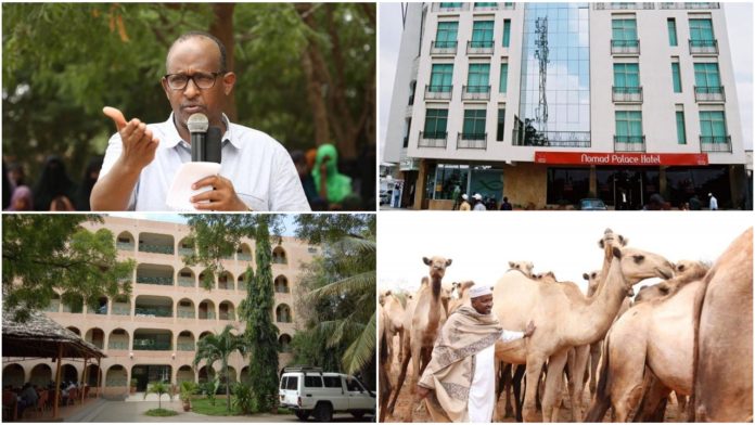 Duale-wealth.jpeg