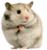 A9nO1Ve.png