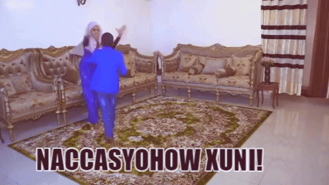 giphy.gif