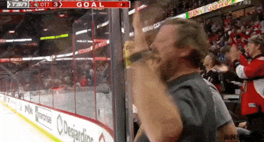 Happy Ottawa Senators GIF by NHL