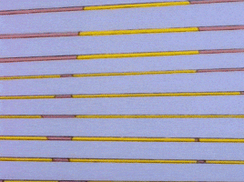 200.gif