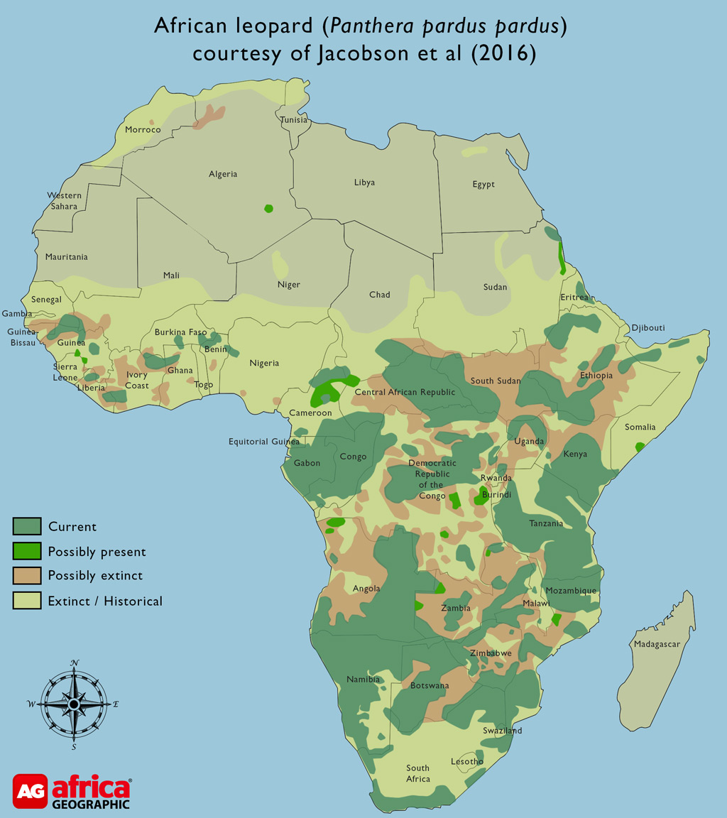 leopard-species-study-map.jpg