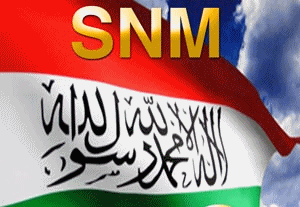 SNM%20FLAG%20NEW%201.gif