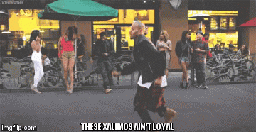 1fmn08.gif