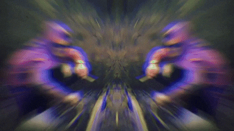 giphy.gif