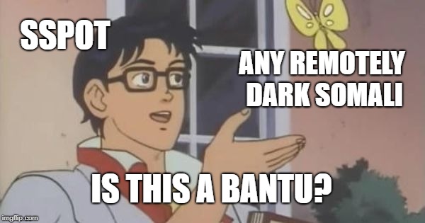 2kcqng.jpg