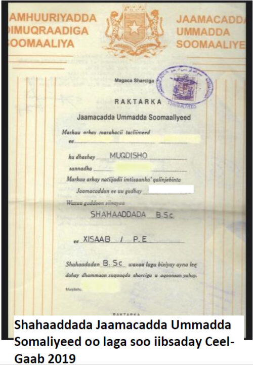 shahaado-500x720.jpg