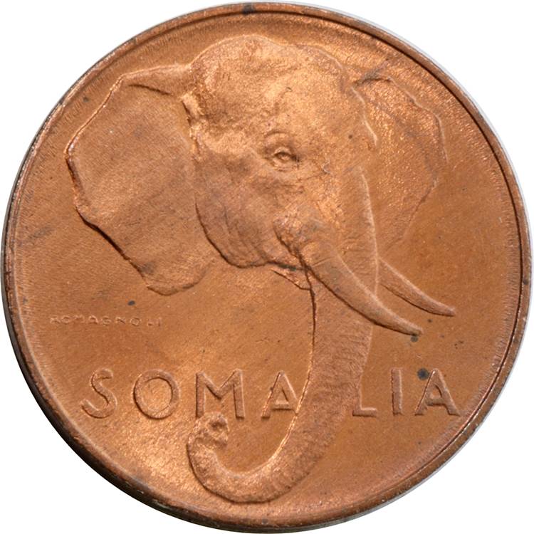 g493.jpg