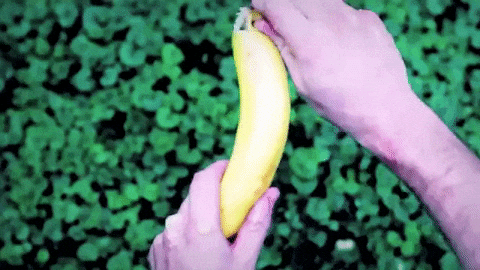 giphy.gif