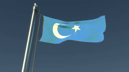 east-turkestan-uyghur.gif